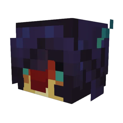 spacekitys Minecraft avatar head, 3D render
