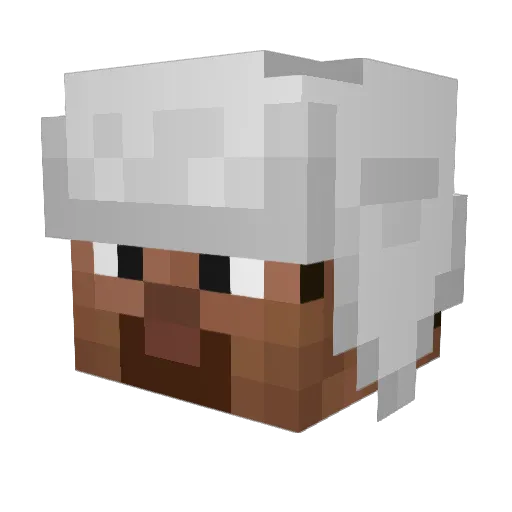 spacemaster44 Minecraft avatar head, 3D render