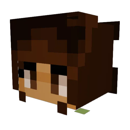 spaceoddity05 Minecraft avatar head, 3D render