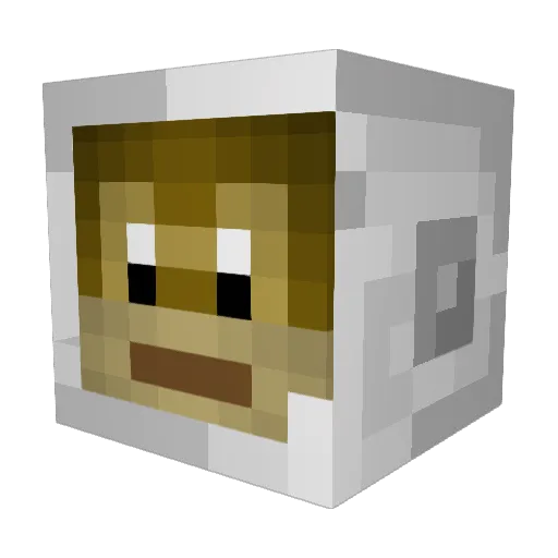 spaceoverloads Minecraft avatar head, 3D render