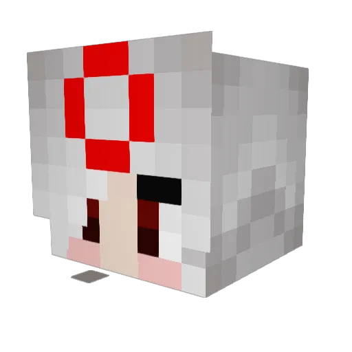 spaceplatypus17 Minecraft avatar head, 3D render
