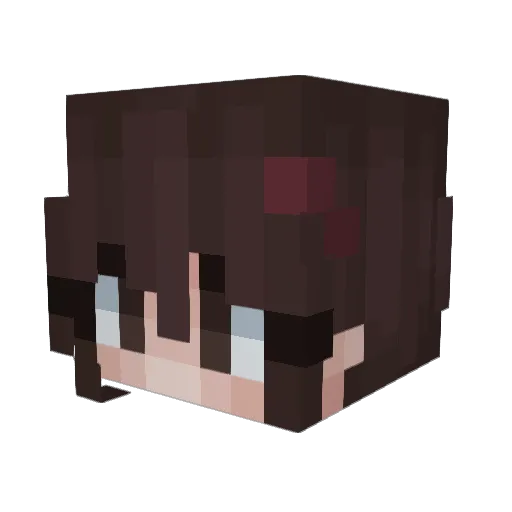 spacepororo Minecraft avatar head, 3D render