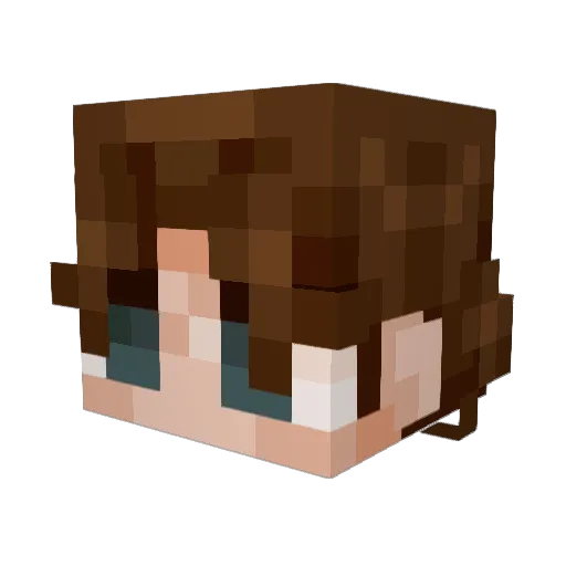 spacepotatis9000 Minecraft avatar head, 3D render