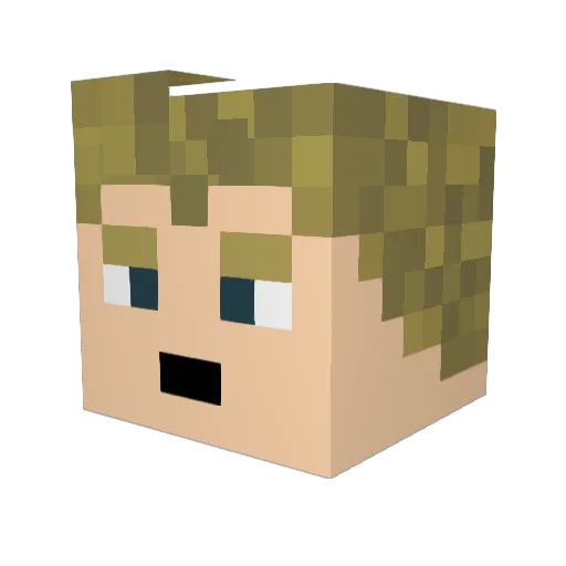spaces_are_evil Minecraft avatar head, 3D render