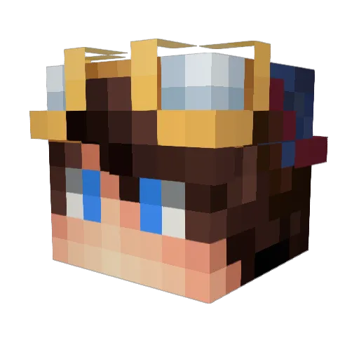 spaceshooter2007 Minecraft avatar head, 3D render
