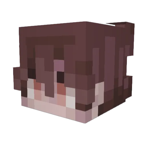 spacetimes Minecraft avatar head, 3D render