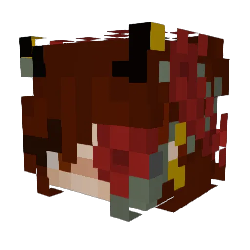 spacewife0 Minecraft avatar head, 3D render