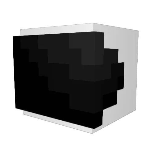 spacexboughtme Minecraft avatar head, 3D render