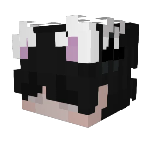 spacezip Minecraft avatar head, 3D render