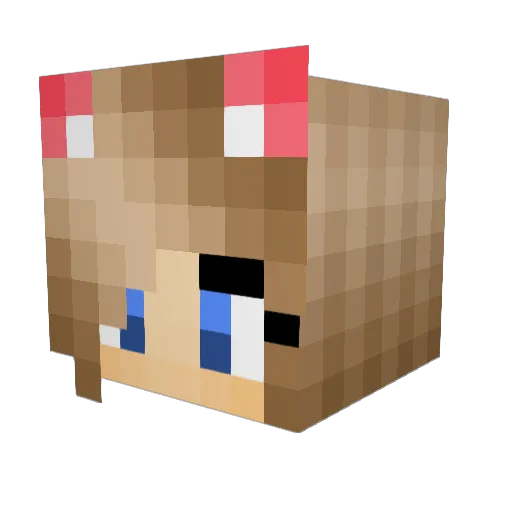 spacie7 Minecraft avatar head, 3D render