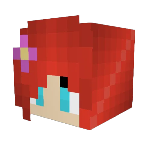 spacymacy Minecraft avatar head, 3D render