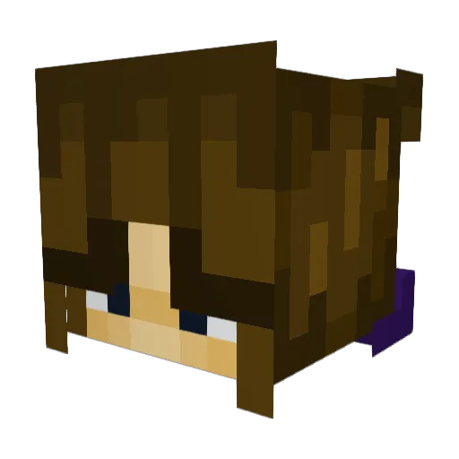 spaghettiana Minecraft avatar head, 3D render