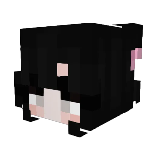 spaghettiecat Minecraft avatar head, 3D render