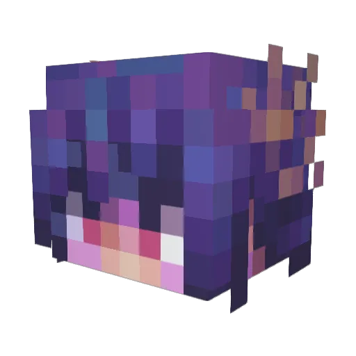 spaghettifer Minecraft avatar head, 3D render