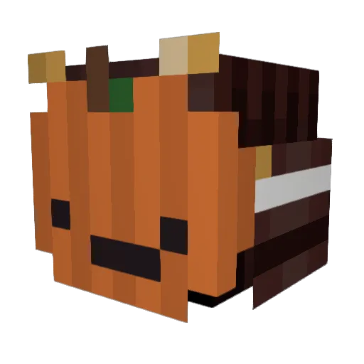 spagler Minecraft avatar head, 3D render
