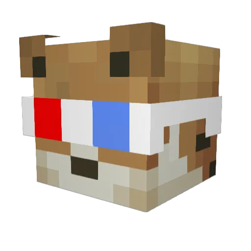 spalernTJJ Minecraft avatar head, 3D render