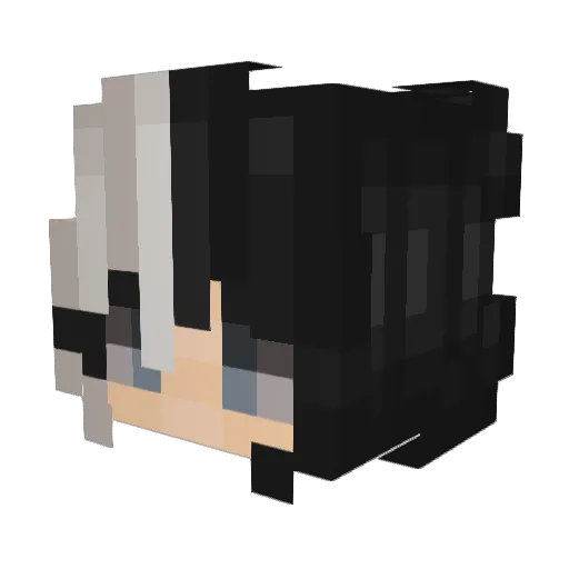 spalu20 Minecraft avatar head, 3D render
