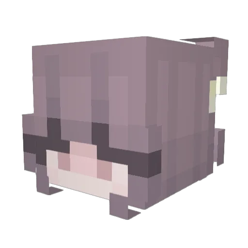 spamloos Minecraft avatar head, 3D render