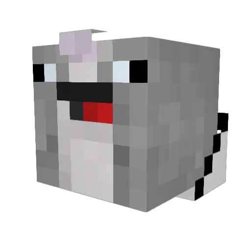 spangle9 Minecraft avatar head, 3D render