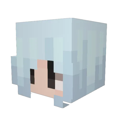 spankfrank2 Minecraft avatar head, 3D render
