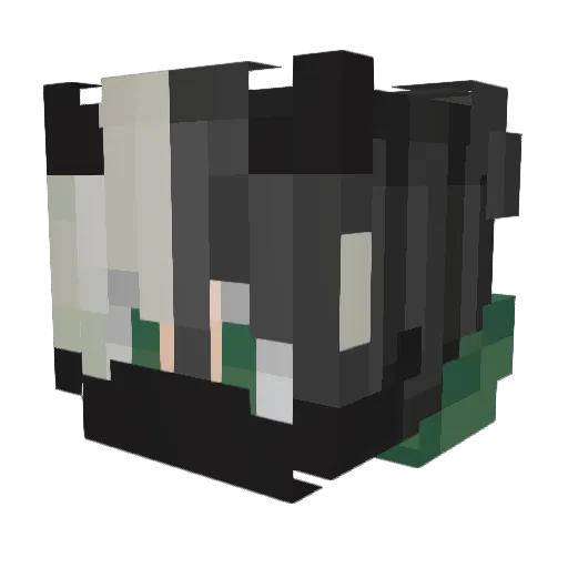 spanna2007 Minecraft avatar head, 3D render