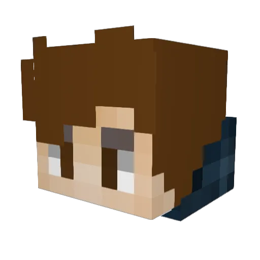 sparcknew100 Minecraft avatar head, 3D render