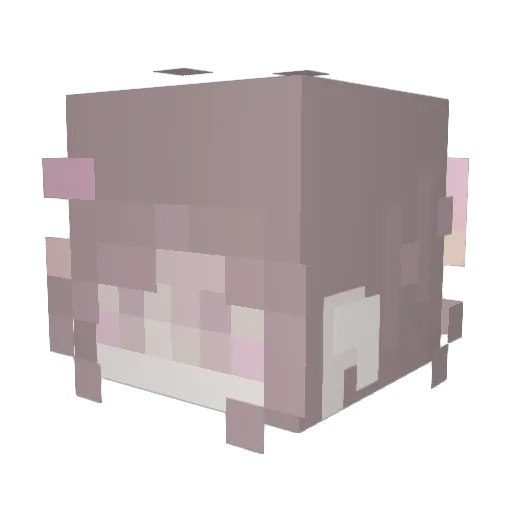 spareamethyst Minecraft avatar head, 3D render