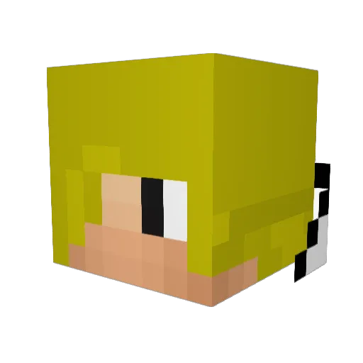 sparkaroony Minecraft avatar head, 3D render