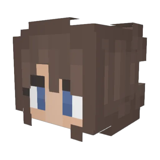 sparkedninja Minecraft avatar head, 3D render
