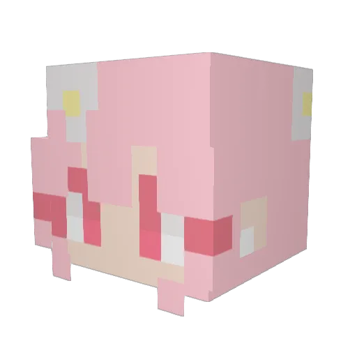 sparkle3388 Minecraft avatar head, 3D render