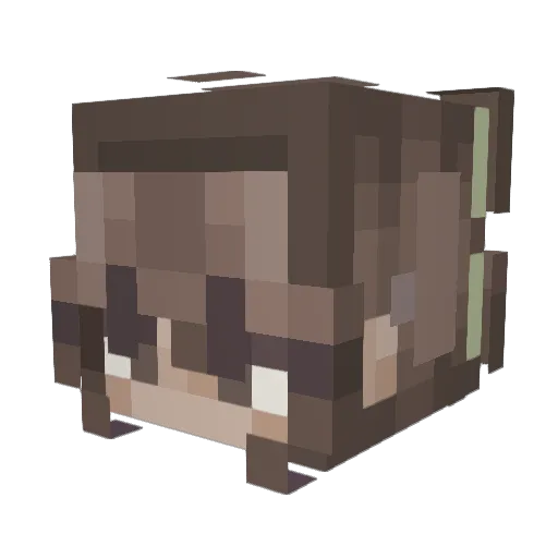 sparkle6439 Minecraft avatar head, 3D render