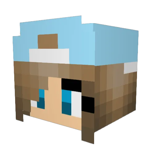 sparkle7813 Minecraft avatar head, 3D render