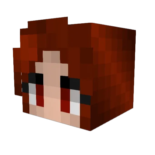 sparkle_Penguin Minecraft avatar head, 3D render