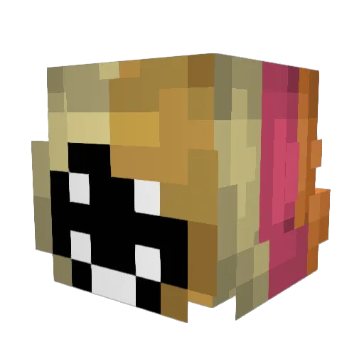 sparkles_42 Minecraft avatar head, 3D render