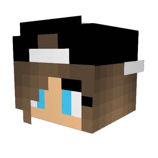 sparklypanda12 Minecraft avatar head, 3D render