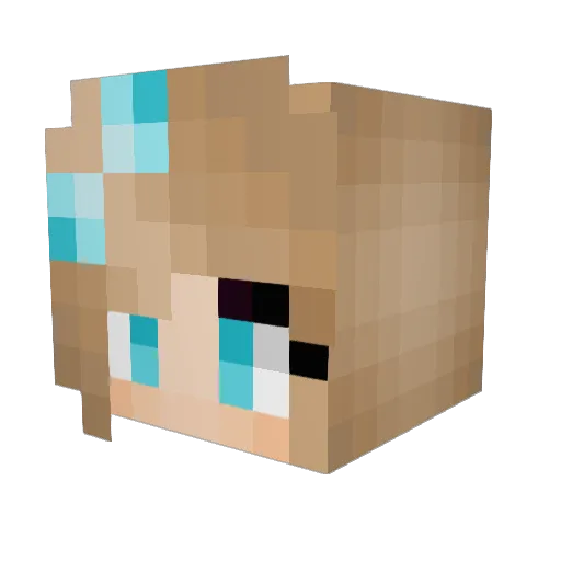 sparklysnowflake Minecraft avatar head, 3D render