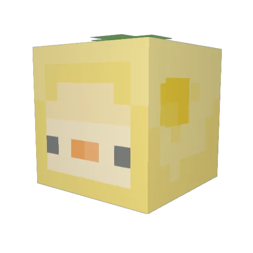 sparklyspunch Minecraft avatar head, 3D render