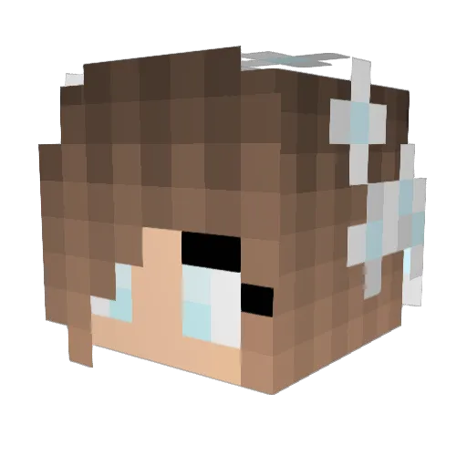 sparle224 Minecraft avatar head, 3D render