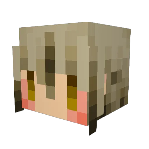 sparrow99 Minecraft avatar head, 3D render