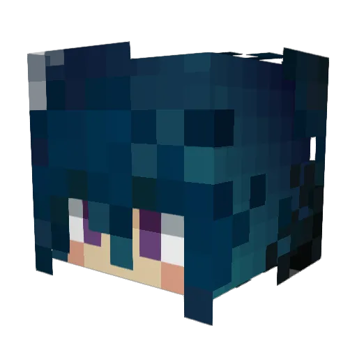 sparrowhavvk Minecraft avatar head, 3D render