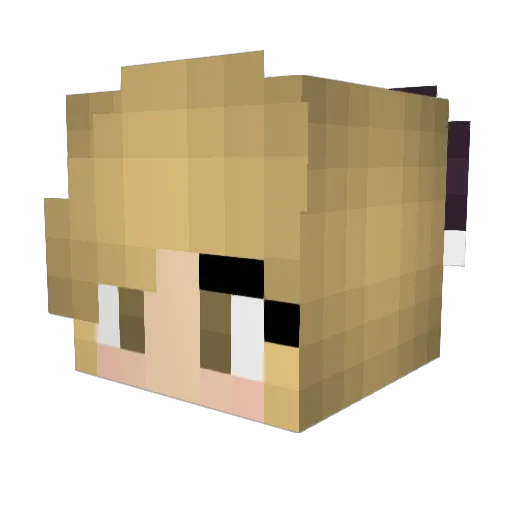 sparrowlings Minecraft avatar head, 3D render