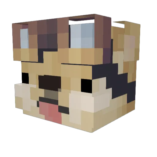 sparsi Minecraft avatar head, 3D render