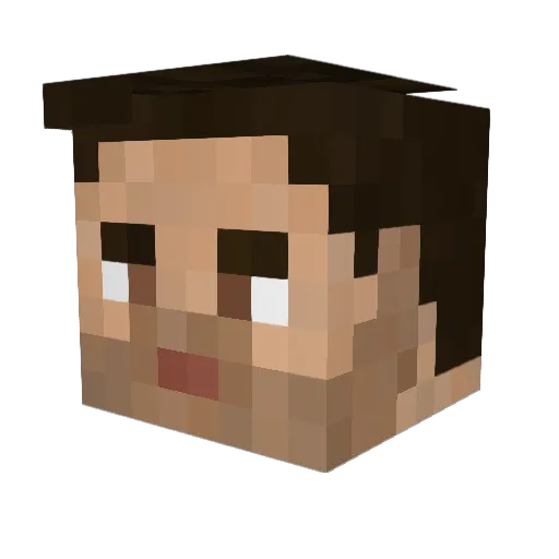 spartan2694 Minecraft avatar head, 3D render