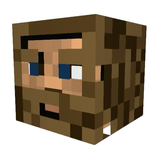 spartan_boy2 Minecraft avatar head, 3D render