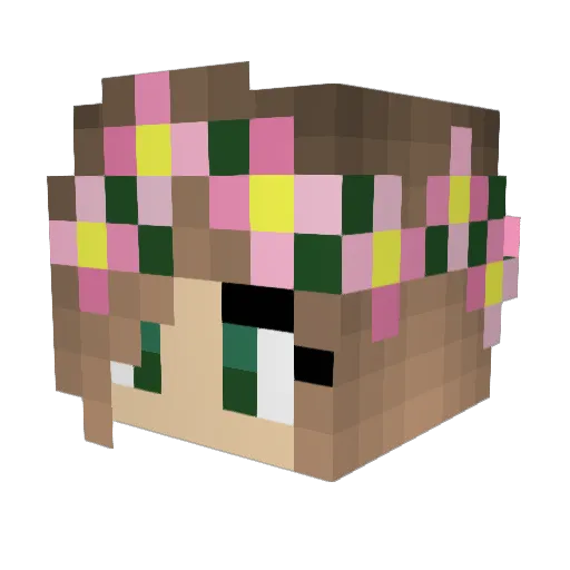 spartanboy8581 Minecraft avatar head, 3D render