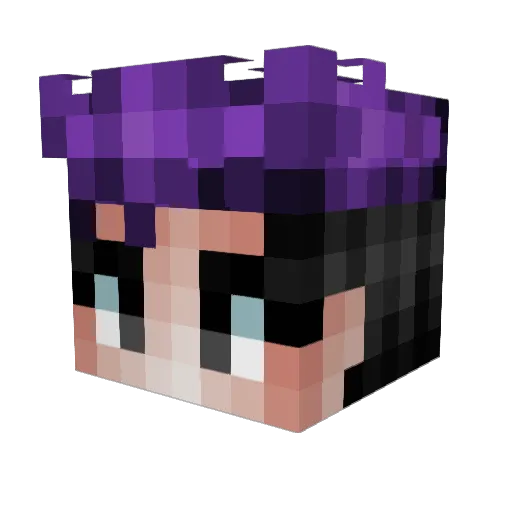 sparxmaths Minecraft avatar head, 3D render