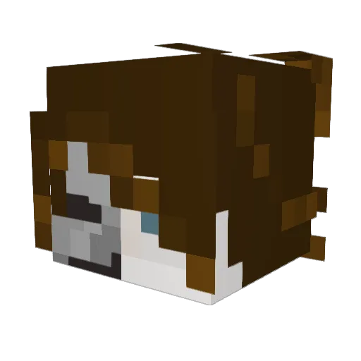spasmaticfrnk Minecraft avatar head, 3D render
