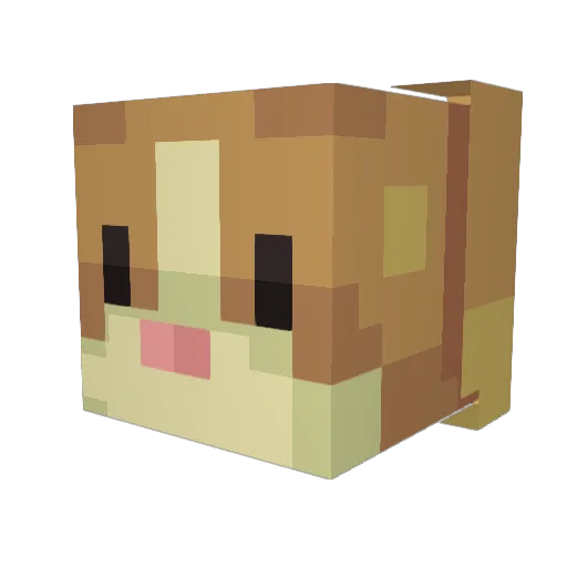 spatula702 Minecraft avatar head, 3D render