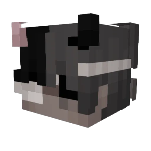 spawnangel34 Minecraft avatar head, 3D render