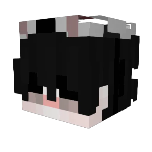 spazzes Minecraft avatar head, 3D render
